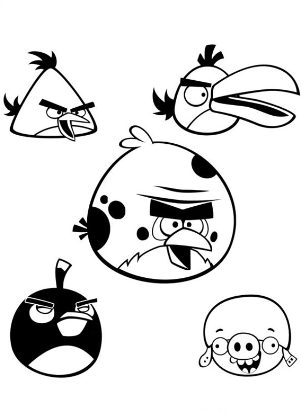 Angry birds28