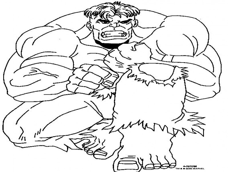 De Verschrikkelijke Hulk