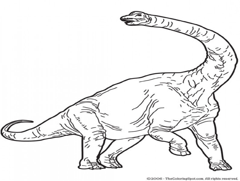 Dinosaurus17