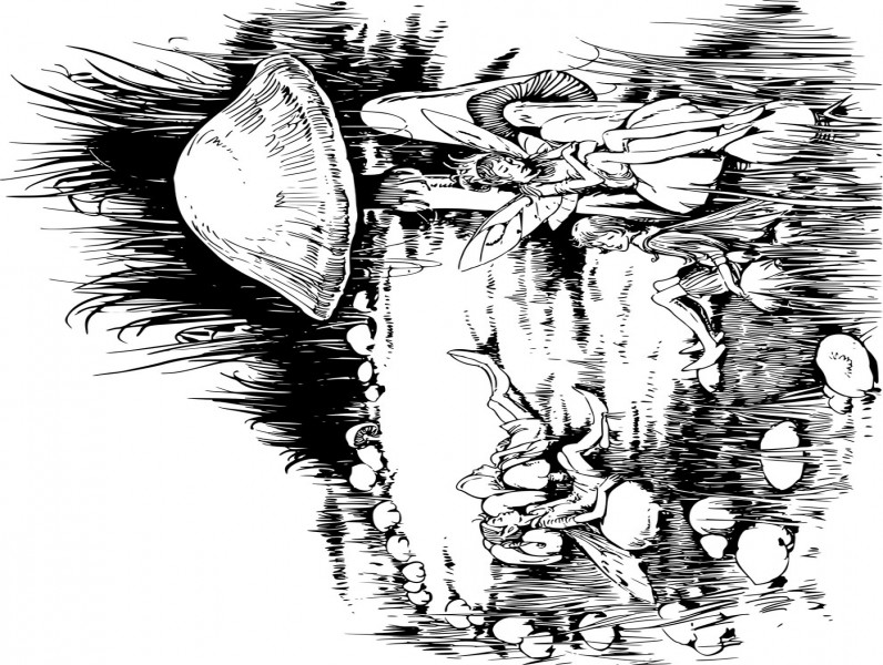 Elfjes onder de Paddenstoel