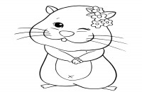 Hamster03