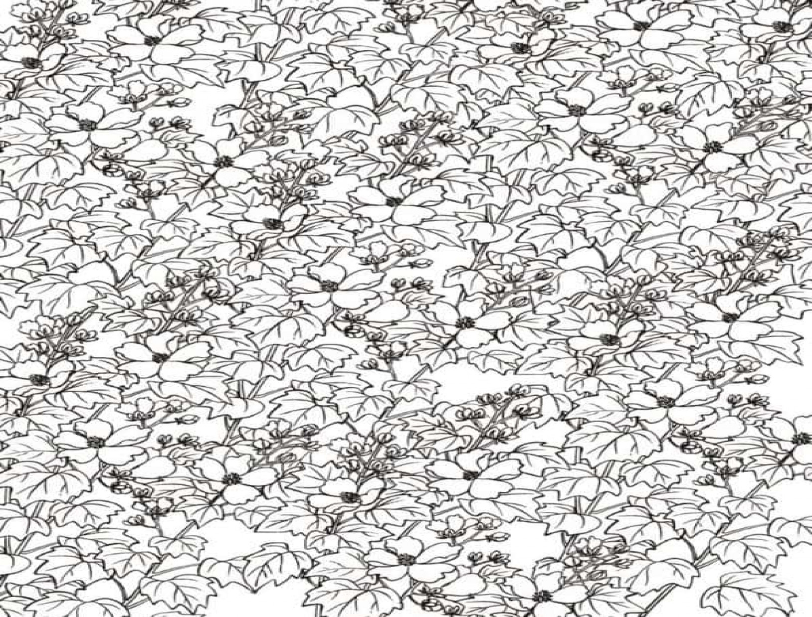 Kleurplaten volwassenen10