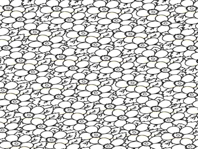 Kleurplaten volwassenen12