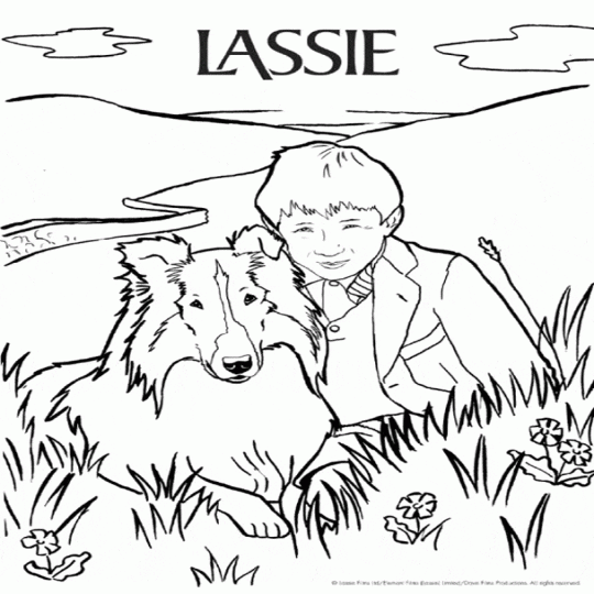 Lassie 01