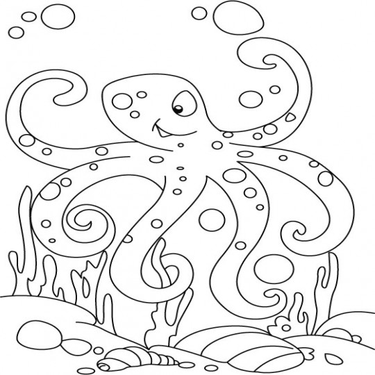 Octopus op de zeebodem