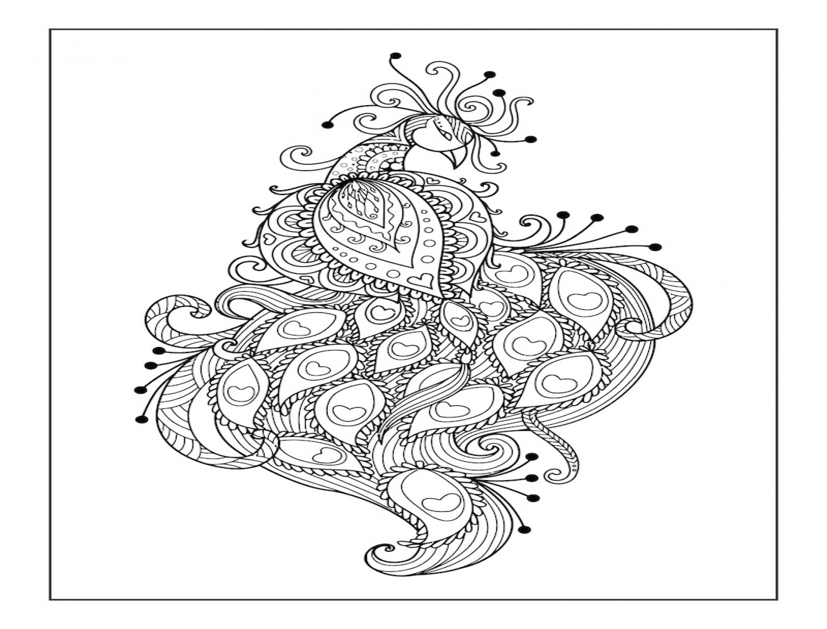 Pauw kleuren volwassenen 01