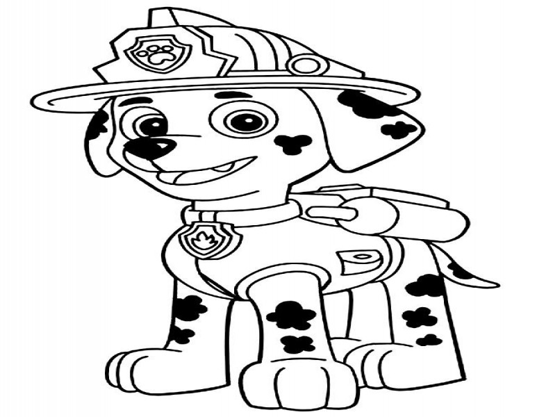 Paw patrol13