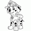 Paw patrol4