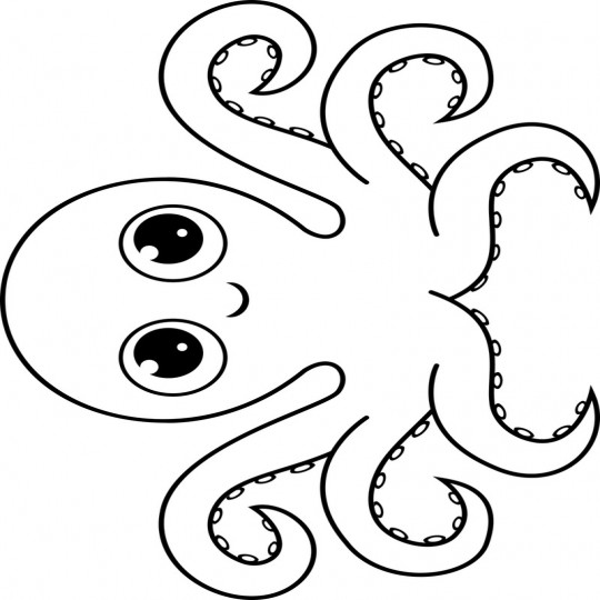 Simpele octopus