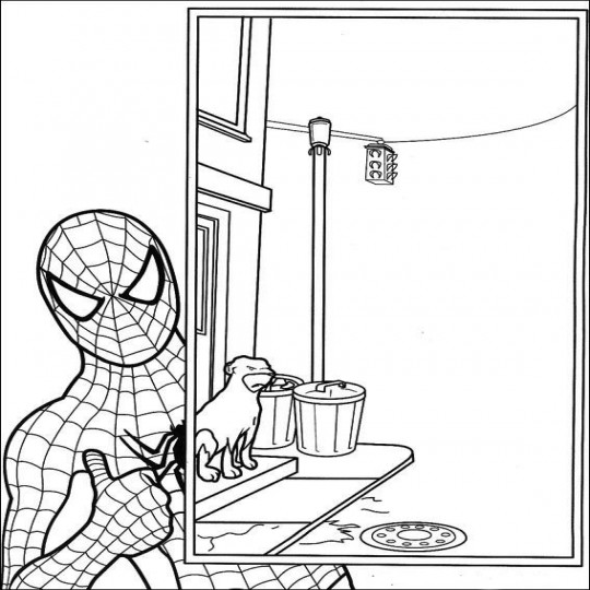 Spiderman kleurplaten 7