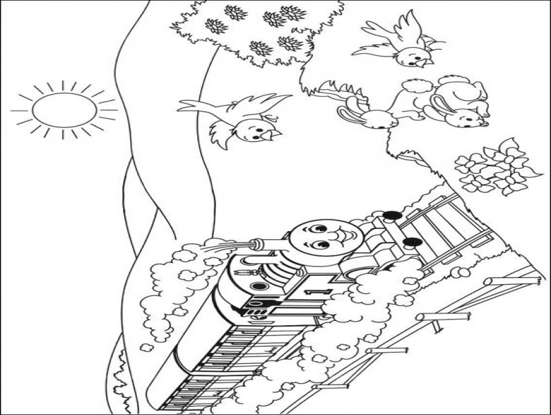 Thomasdetrein11