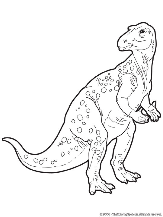 Dinosaurus15