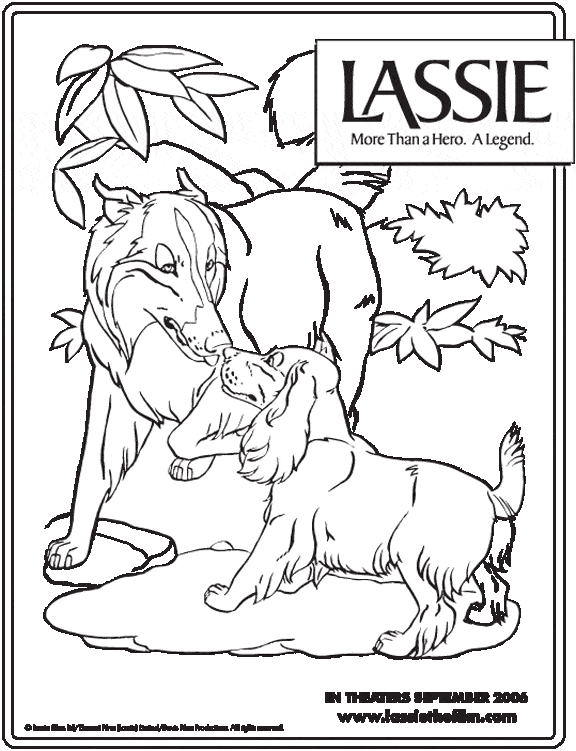 Lassie 02